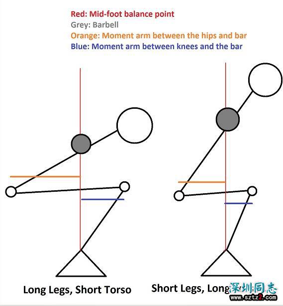 健身知识：深蹲动作的杠杆系统