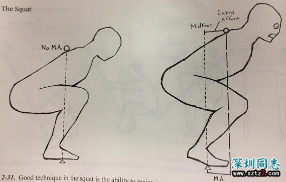 健身知识：深蹲动作的杠杆系统